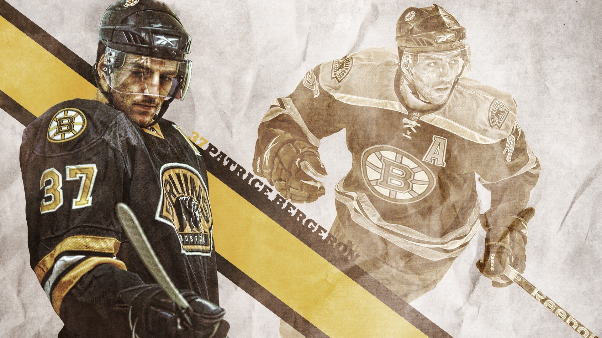 巴西马术协会举办国际马术科技大会,推动行业技术交流与合作。