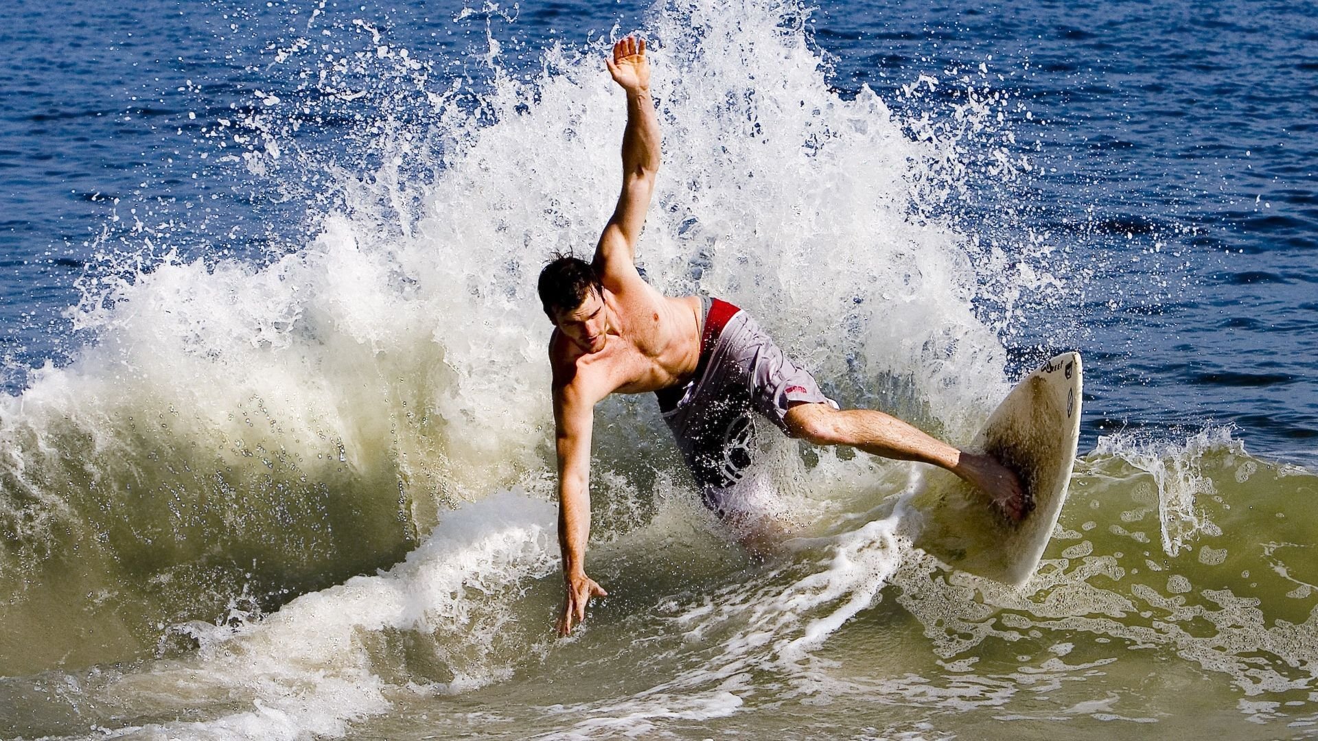 水陆两栖特技表演，极限运动的新视觉盛宴，水陆两栖动物大全