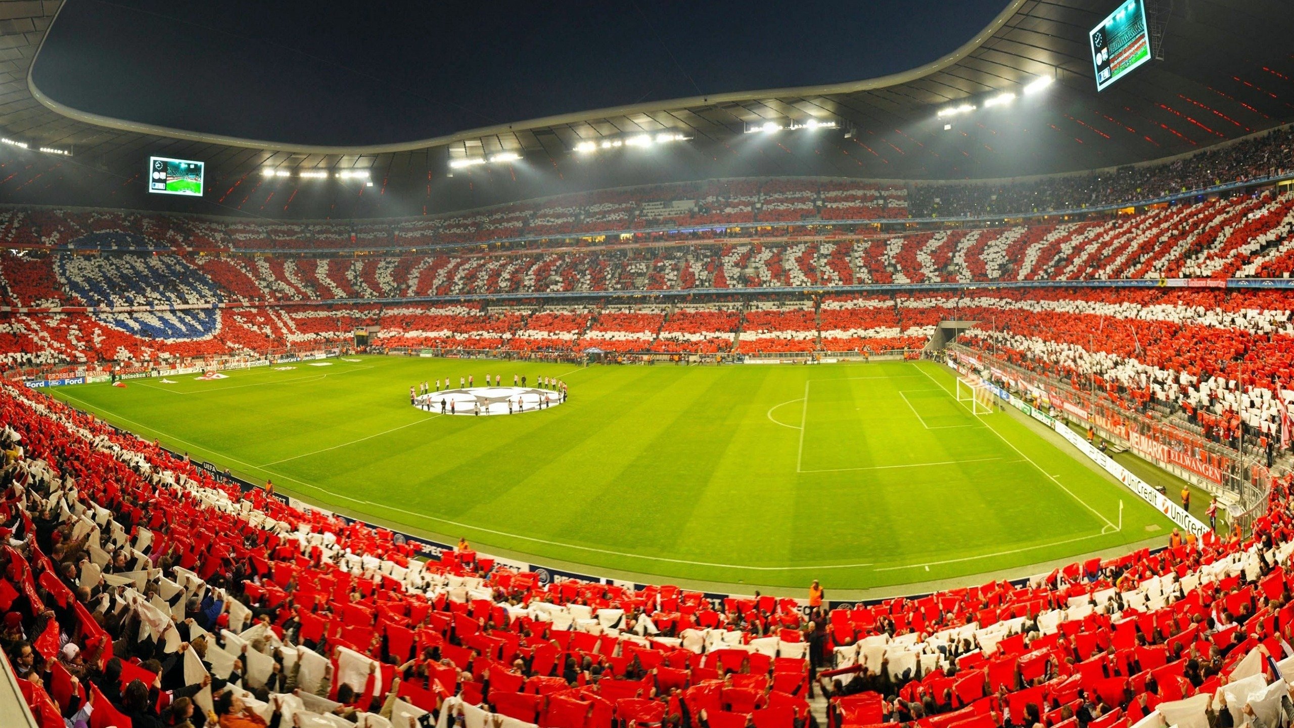 水陆两栖特技表演，极限运动的新视觉盛宴，水陆两栖动物大全